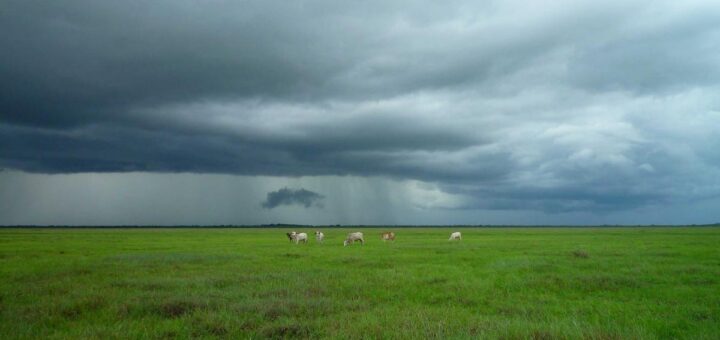 AI写作工具概念