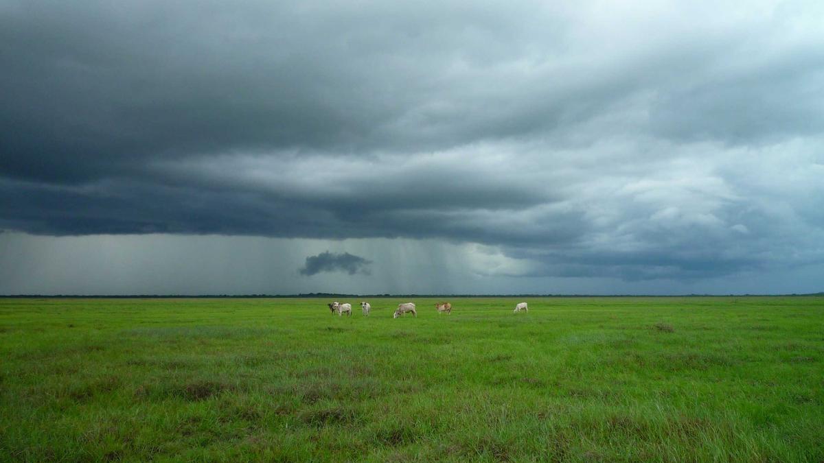 AI写作工具概念