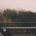 AI医疗诊断技术