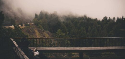 AI医疗诊断技术