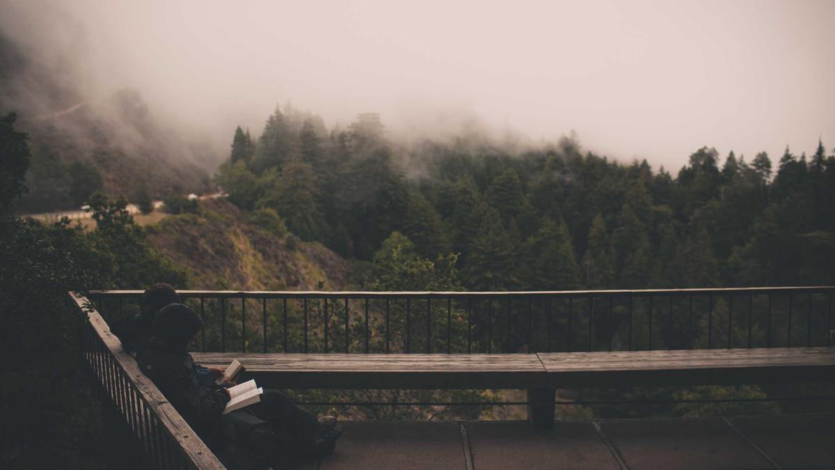 AI医疗诊断技术