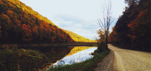 AI大语言模型技术