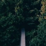 网站优化工作记录