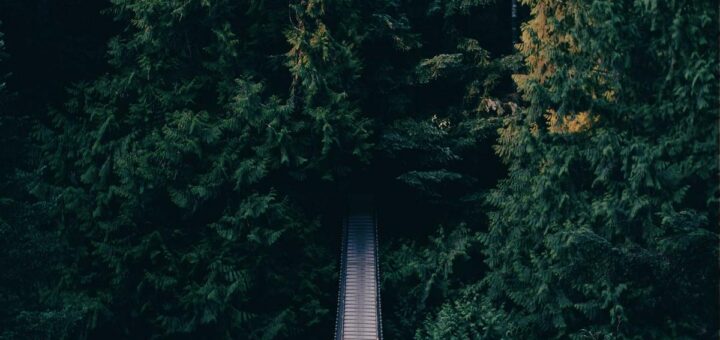 网站优化工作记录