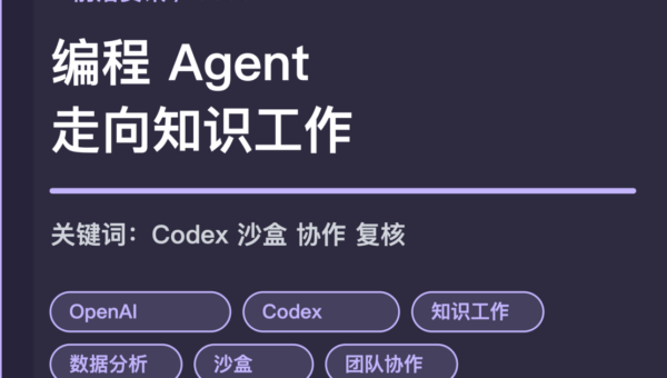 Codex 用户增长和知识工作封面图，包含编程 Agent、资料整理、数据分析、沙盒和团队协作等中文关键词