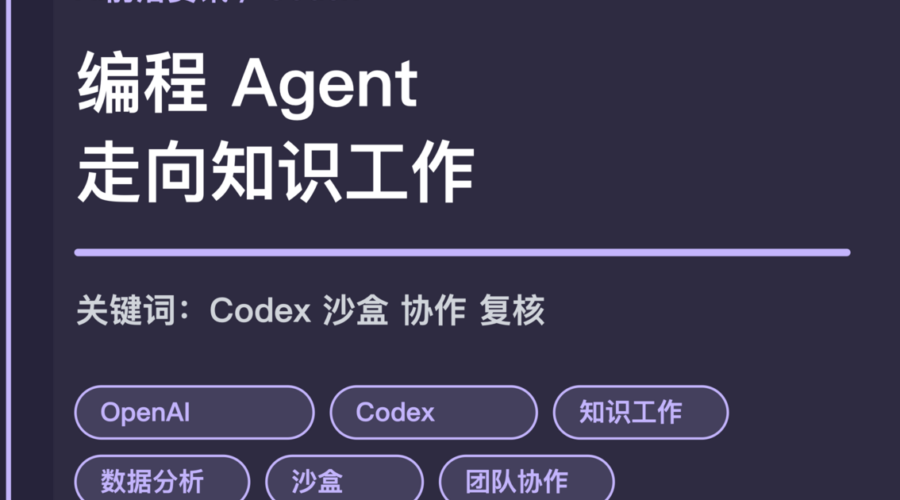 Codex 用户增长和知识工作封面图，包含编程 Agent、资料整理、数据分析、沙盒和团队协作等中文关键词
